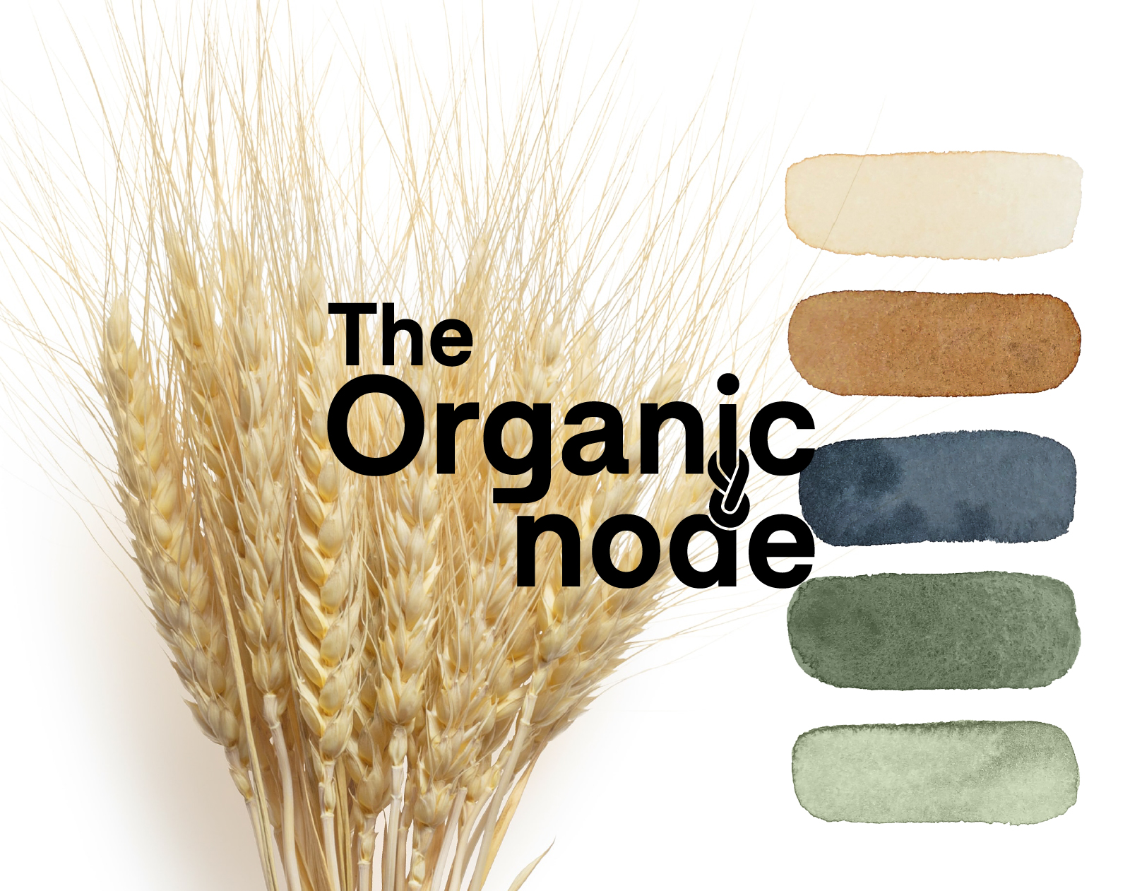 The Organic Node Branding